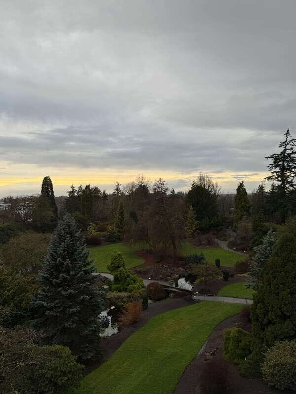 Vancouver Tour/Car/Grandville Island/Queen Elizabeth/China T - What Makes This Tour Stand Out