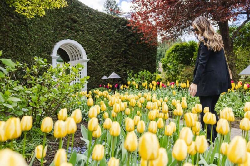 Vancouver: Victoria Day Trip by Seaplane & Butchart Gardens - Who Will Love This Tour?