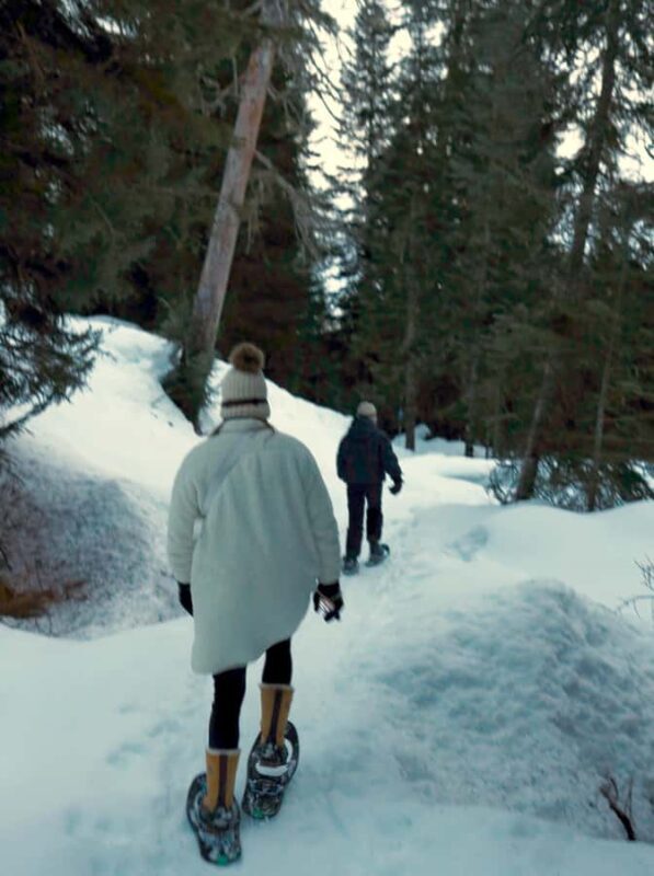 Vancouver: Whistler Day with Snowshoeing/Nordic Skiing - Key Points