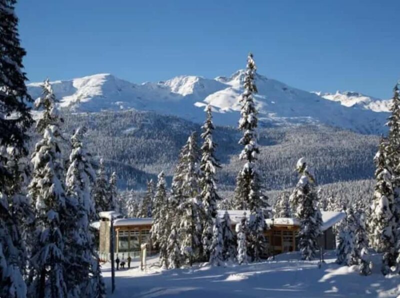 Vancouver: Whistler Day with Snowshoeing/Nordic Skiing - Time for Play: Snowshoeing and Cross-Country Skiing