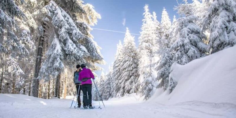 Vancouver: Whistler Day with Snowshoeing/Nordic Skiing - Relaxing in the Lodge