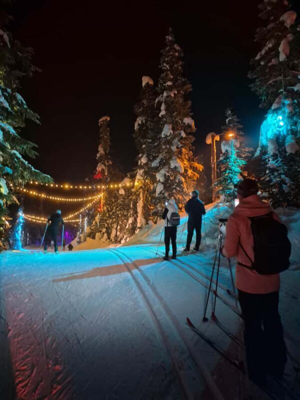Vancouver: Whistler Olympic Park Evening Snowshoeing/Skiing - Key Points