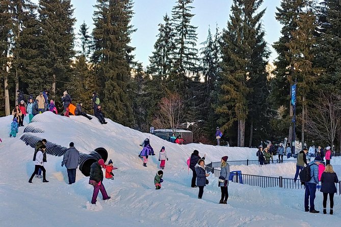 Vancouver Whistler Private Tour - Customer Reviews and Guide Performance
