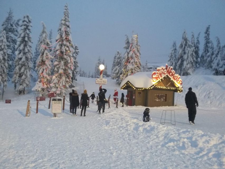 Vancouver Winter Fun Mountain Adventure Tour Private - Tour Description