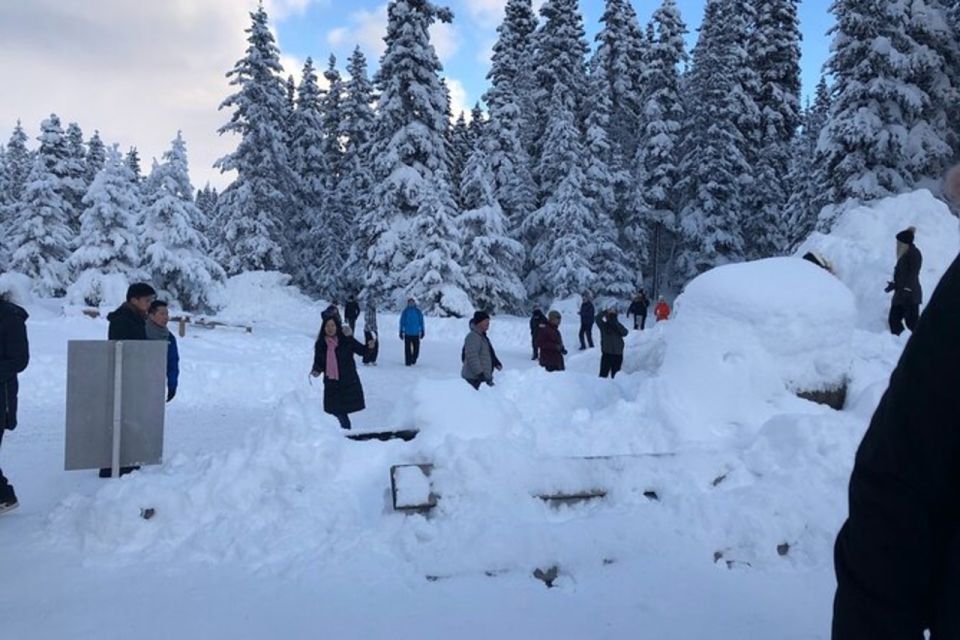 Vancouver Winter Fun Mountain Adventure Tour Private - Booking Options