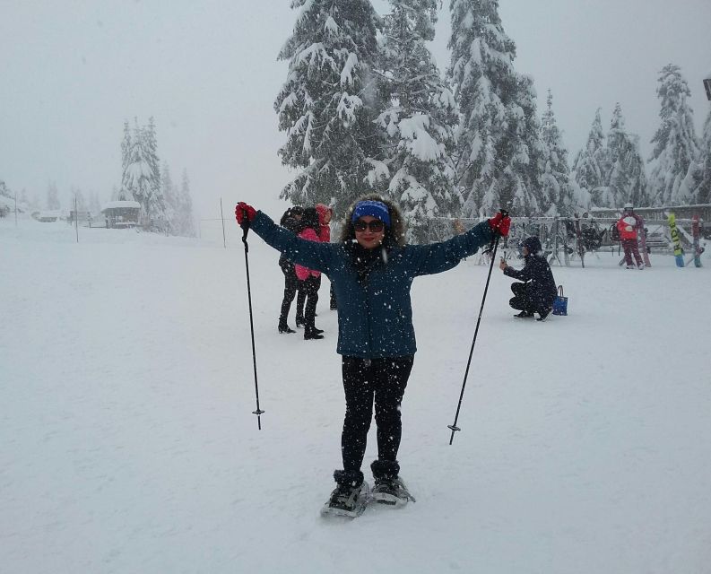 Vancouver Winter Fun Mountain Adventure Tour Private - Flexible Start Times