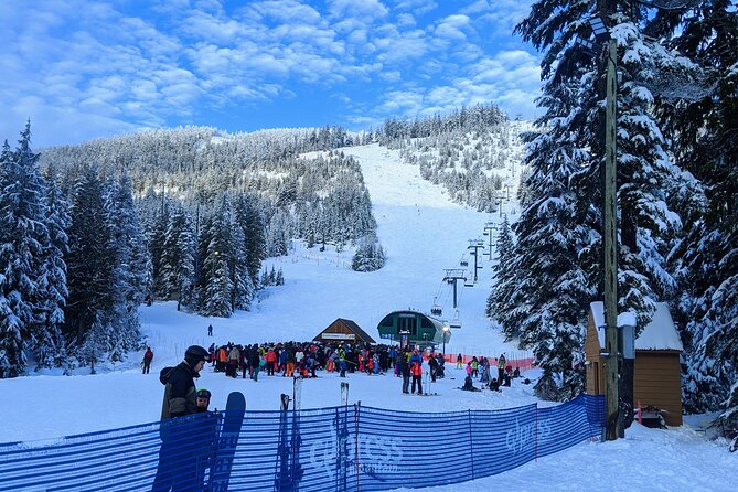 Vancouver Winter Fun Mountain {Grouse, Cypress, Seymour)Private - Explore Grouse Mountain