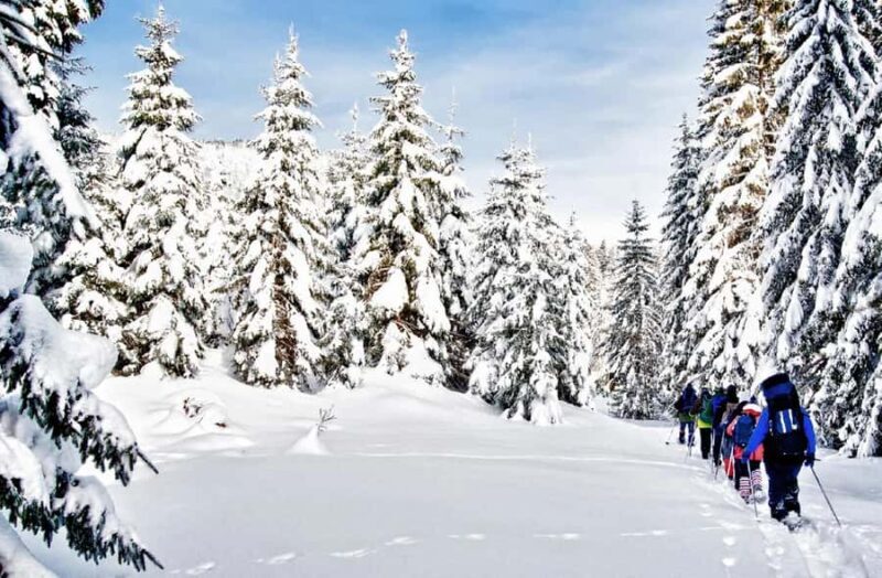 Vancouver:Guided Snowshoe Adventure in North Shore Mountains - An Introduction to the Tour
