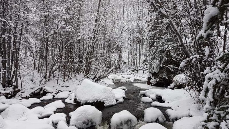 Vancouver:Guided Snowshoe Adventure in North Shore Mountains - Why This Tour Offers Great Value