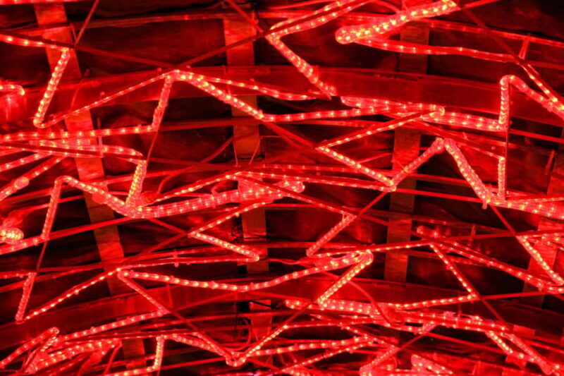 Vancouvers Festive Shore : Christmas Private Walking Tour - An inviting introduction to Vancouver’s holiday spirit