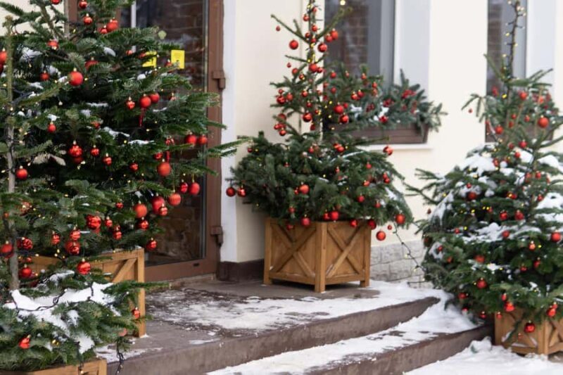 Vancouvers Festive Shore : Christmas Private Walking Tour - What to Expect on the Tour