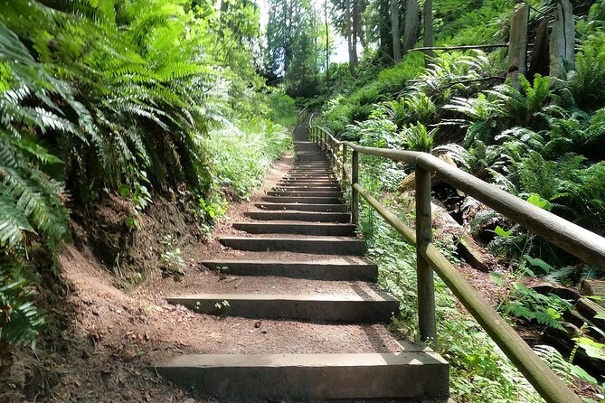 Vancouvers Natural Stair Master Workout, With Beach Walk - Good To Know