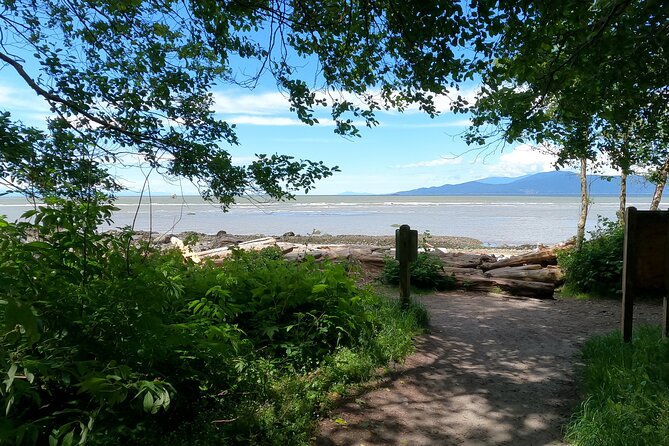 Vancouvers Natural Stair Master Workout, With Beach Walk - Ensuring a Safe and Enjoyable Experience