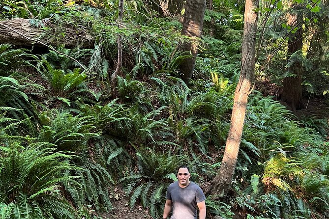 Vancouvers Natural Stair Master Workout, With Beach Walk - Booking Information and Lowest Price Guarantee