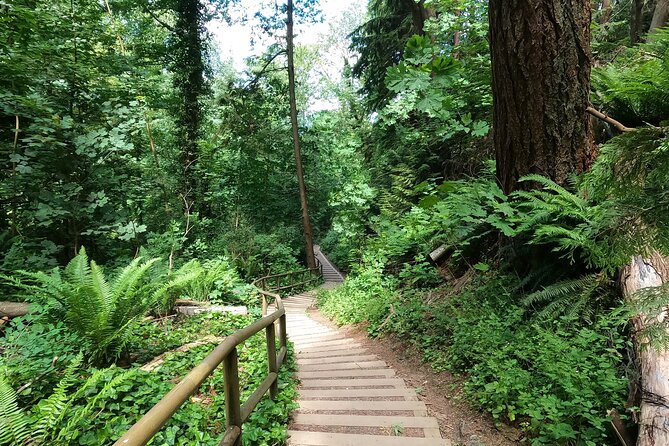 Vancouvers Natural Stair Master Workout, With Beach Walk - Frequently Asked Questions