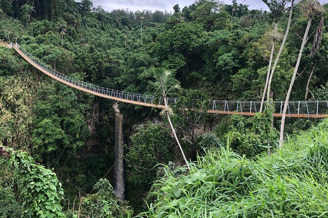 Vanuatu Jungle Zipline, Swing and Skybridge Combo with Transfer - FAQ