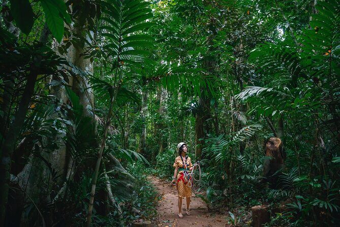 Vanuatu Skybridge with Transfers - The Journey and What to Expect