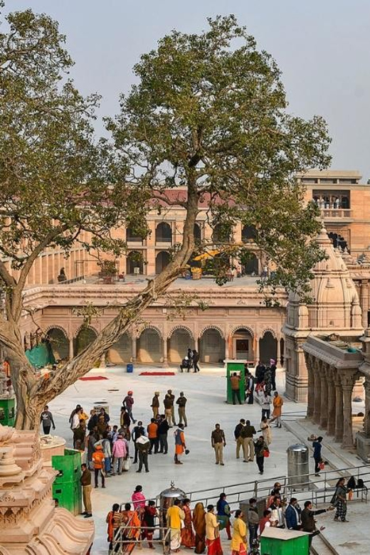Varanasi: Private Guided Tour of Varanasi and Sarnath - Booking Your Experience