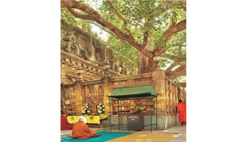 Varanasi to Bodhgaya : a Day Trip of Enlightment Exploration - Good To Know