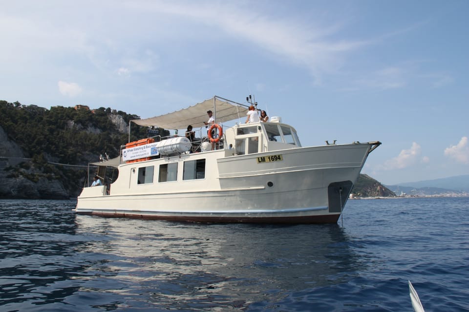 Varazze: Pelagos Sanctuary Wildlife Cruise With Guide - Preparation and Precautions