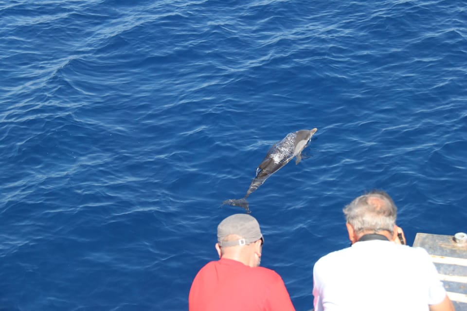 Varazze: Pelagos Sanctuary Wildlife Cruise With Guide - Booking and Payment Options