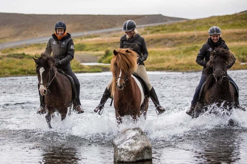 Varmahlid: 1-Hour Icelandic Horse Riding Tour - Discovering the Icelandic Spirit: A Review of the Varmahlid 1-Hour Horseback Riding Tour