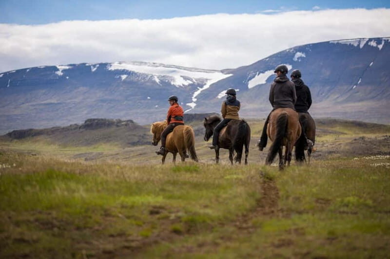 Varmahlid: Viking Horse Riding Tour - Exploring the Varmahlid Viking Horse Riding Tour: An Authentic Icelandic Adventure
