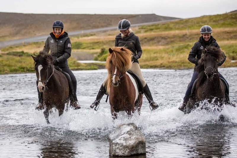 Varmahlid: Viking Horse Riding Tour - Who Will Love This Tour?