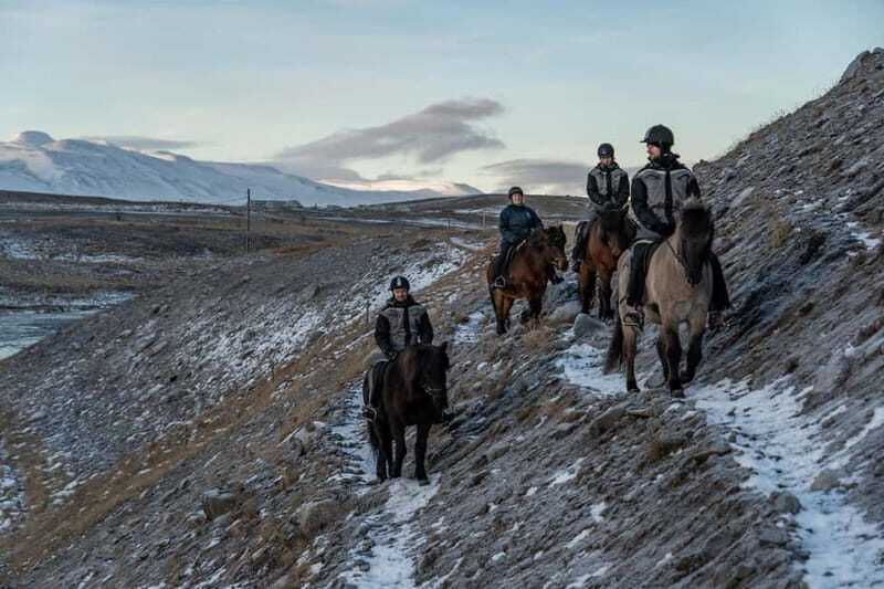 Varmahlid: Viking Horse Riding Tour - Frequently Asked Questions