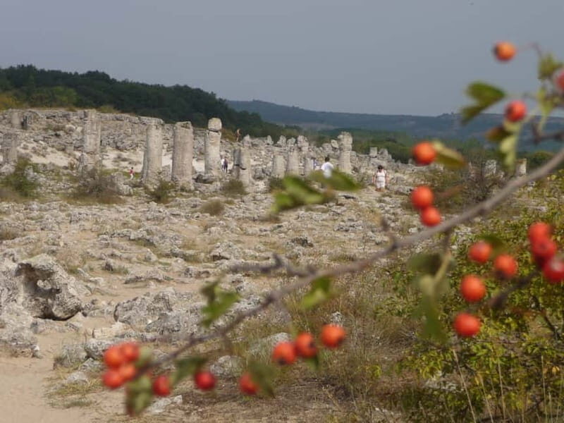 Varna: Guided VIP Tour - Pricing and Value