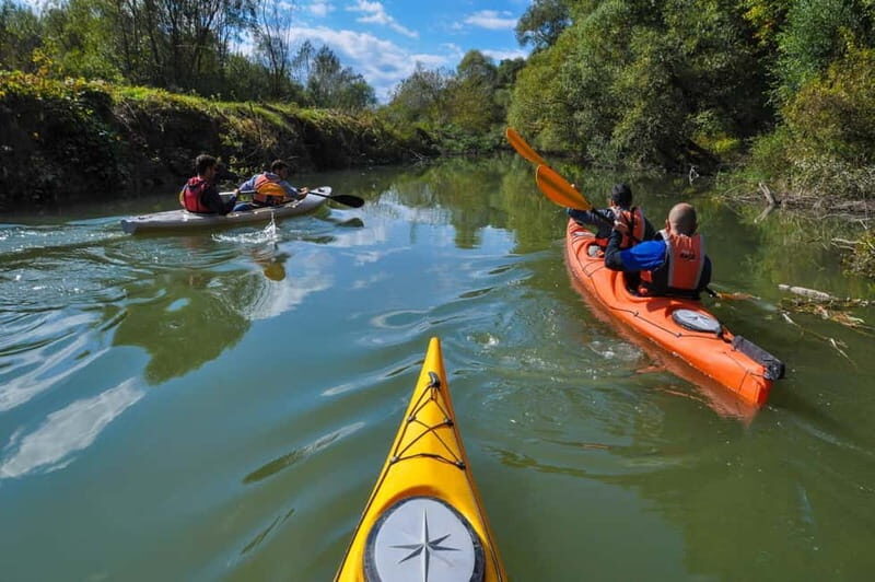 Varna: Kamchia River Kayaking Day Tour - Potential Drawbacks