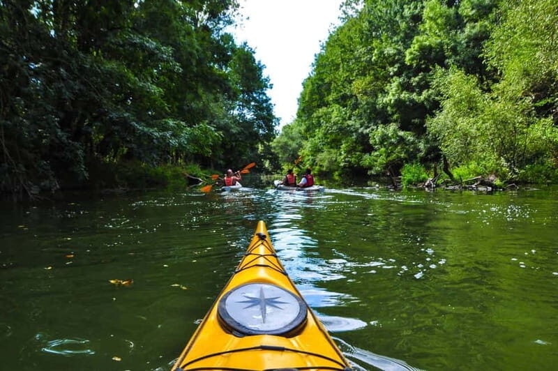 Varna: Kamchia River Kayaking Day Tour - The Sum Up