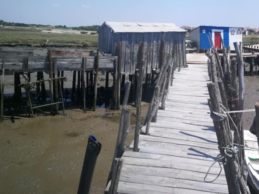 Vasco Da Gama Navigator Southwest Alentejo Private Day Tour - Discover Sines Castle and Arts Centre