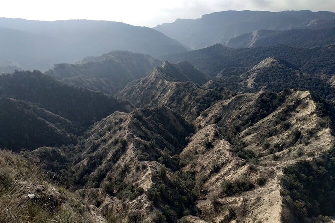 Vashlovani National Park Day Trip From Tbilisi - Highlights of the Private Tour