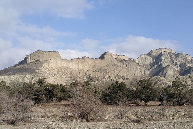 Vashlovani National Park Day Trip From Tbilisi - Frequently Asked Questions