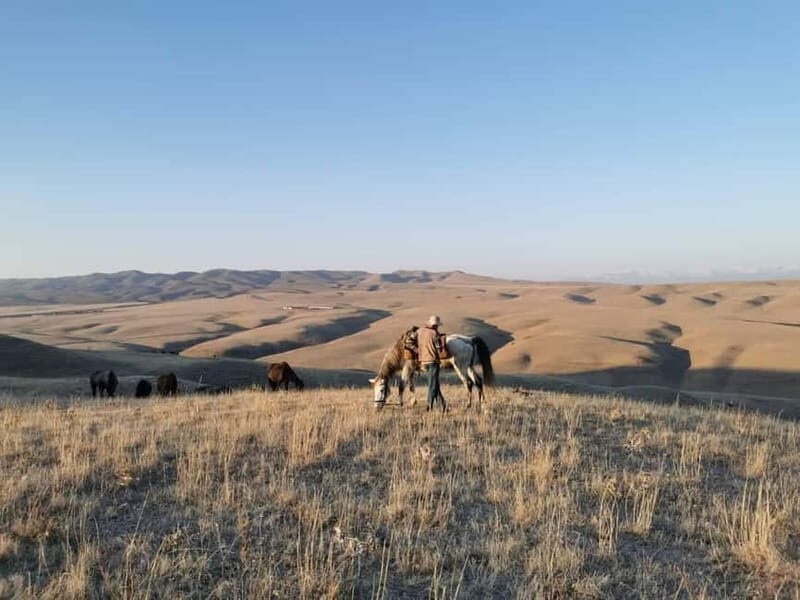 Vashlovani Nature Reserve: Horse Riding Tour - Who Will Love This Experience