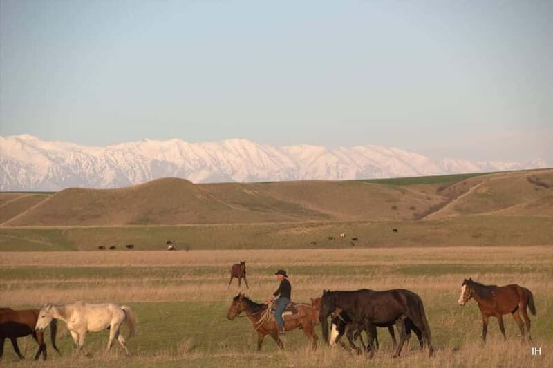 Vashlovani Nature Reserve: Horse Riding Tour - Why This Tour Is Worth Considering