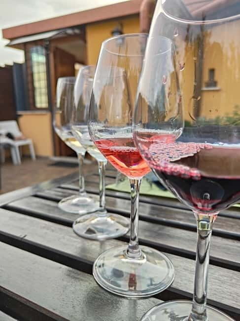 Vatican Pasta Class with 4 glasses of wine in a cozy Rooftop - Final Thoughts: Is It Worth It?