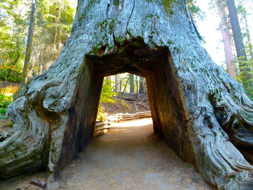Vegas: 4-Day Tour of Death Valley, Yosemite & San Francisco - Yosemite National Park Exploration