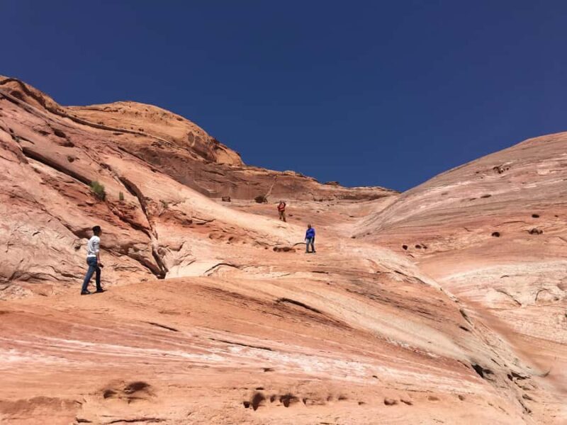 Vegas: Valley of Fire Half Day Tour/Optional Guided Hike - Key Points
