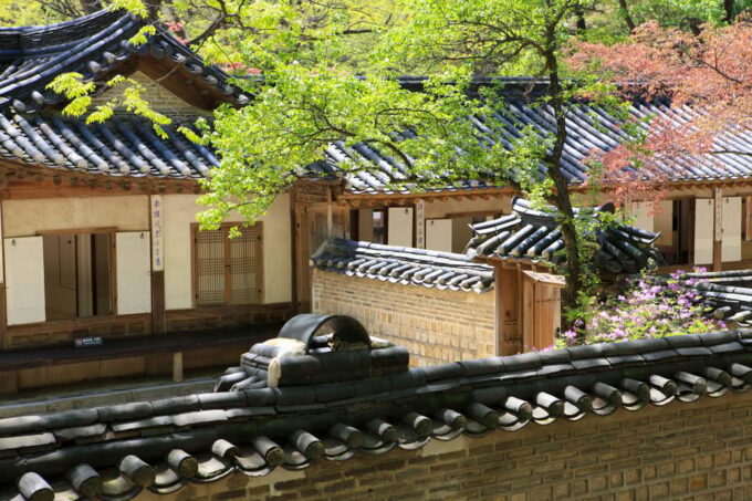 Vegetarian / Halal Seoul City Walking Tour - Inclusions