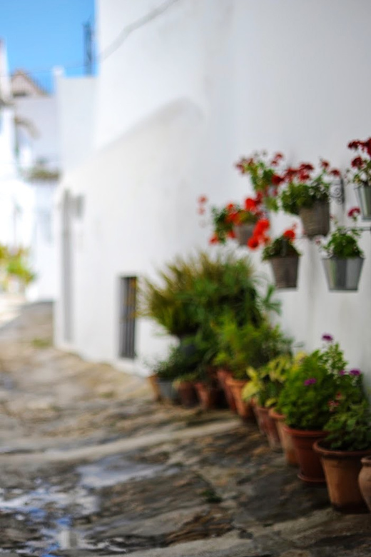 Vejer De La Frontera & Bolonia Private Day Trip From Seville - Itinerary Highlights