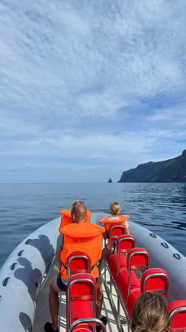 Velas: In the heart of Azores with whales and dolphins - An In-Depth Look at the Tour