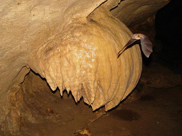 Venado Caves From Arenal - Good To Know
