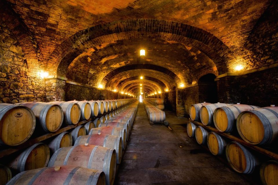 Veneto: Amarone Cooking and Tasting Experience in a Villa - Activity Highlights