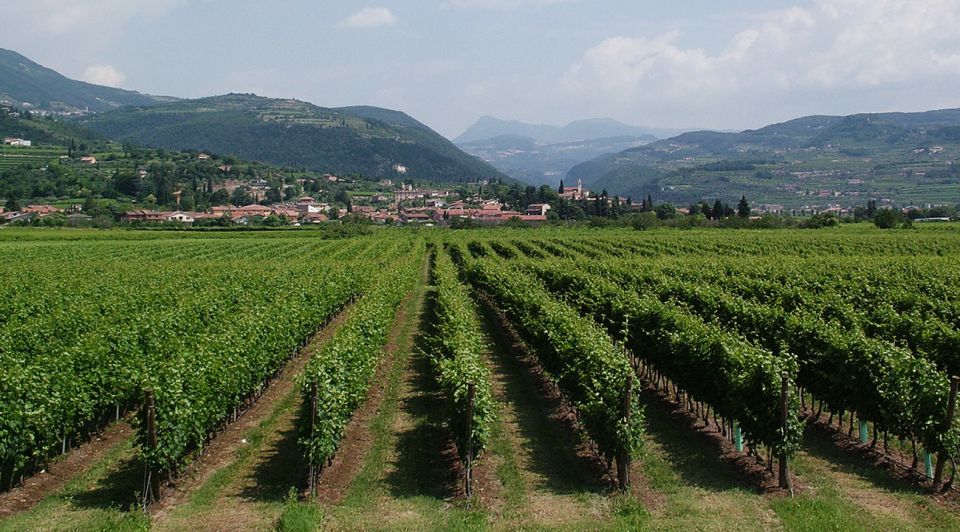 Veneto: Amarone Cooking and Tasting Experience in a Villa - Recap