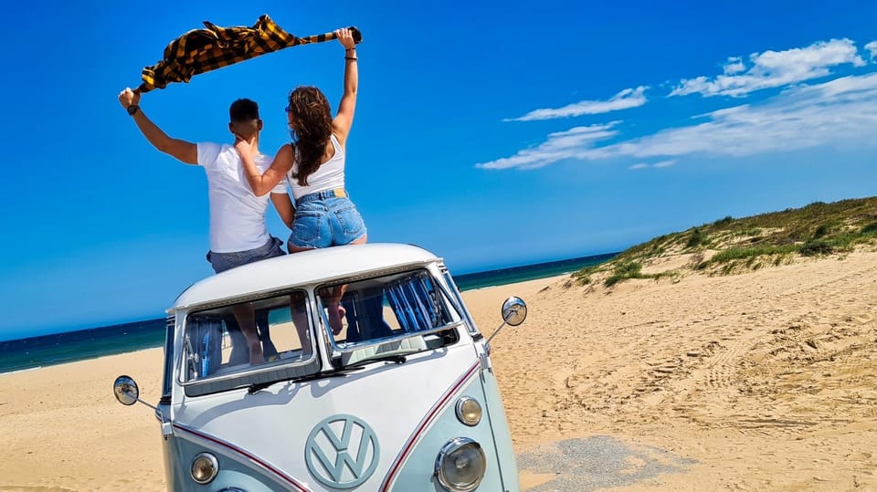 Venice Airport(VCE):1-Way Transfer to Trieste or Cruise Port - Vehicle and Driver Information