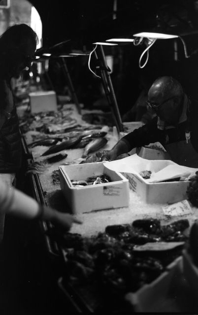 Venice: Analogue Photography Experience - Schedule