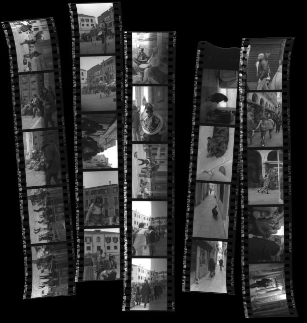 Venice: Analogue Photography Experience - Experience Highlights