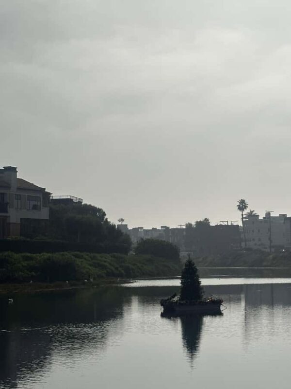 Venice Beach: Guided Walking Tour of the Canals - An In-Depth Look at the Venice Canals Guided Walking Tour